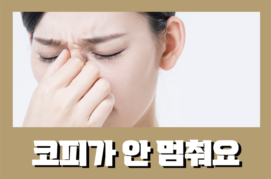 코피가안멈춰요 멈추는 방법과 예방방법은 관련 이미지 1