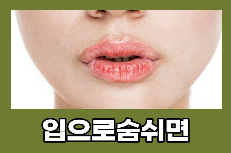 입으로숨쉬면 발생할 수 있는 문제 알아보기 관련 이미지 1