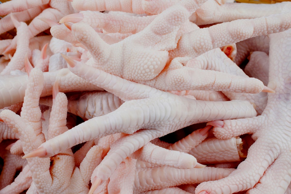5 Benefits of Chicken Feet and Calorie Information image 6