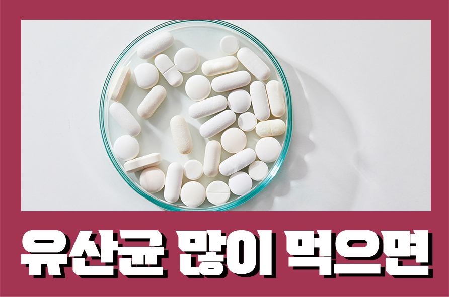 유산균많이먹으면 올바른 유산균 복용 방법은 관련 이미지 1