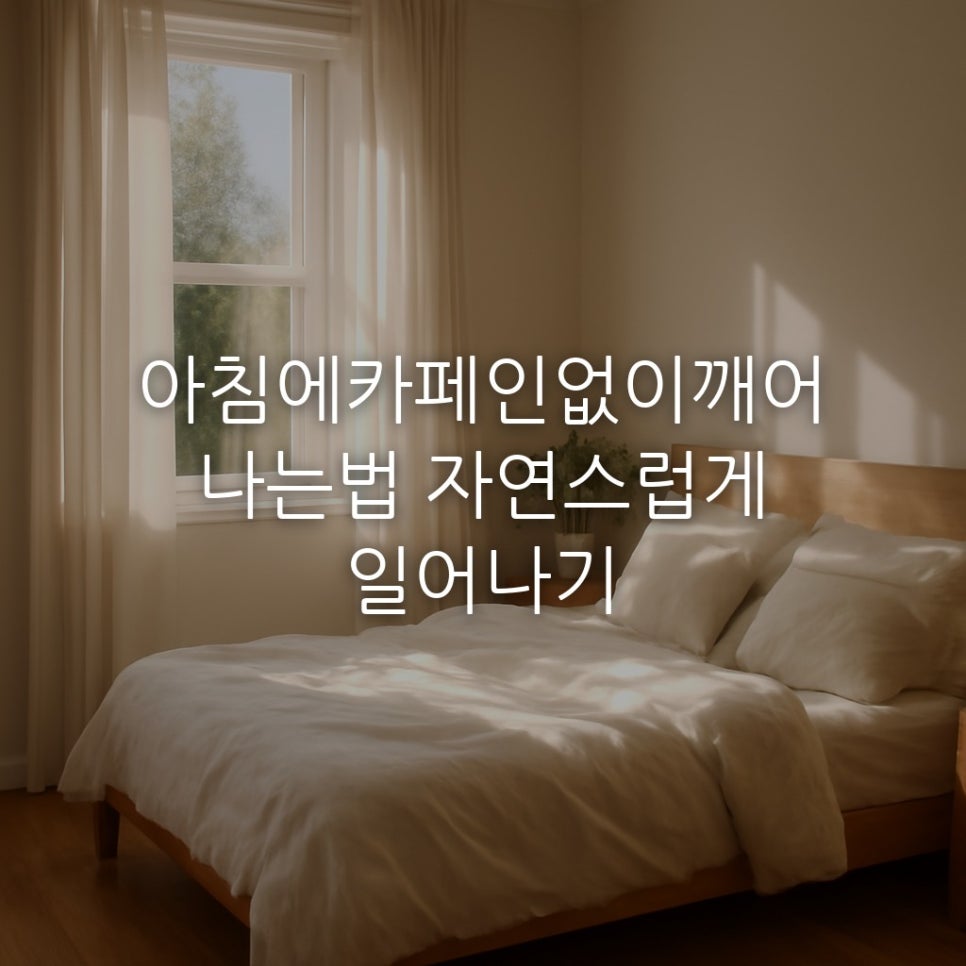 아침에카페인없이깨어나는법 자연스럽게 일어나기 관련 이미지 1