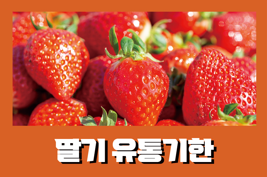 딸기영양성분 맛있는 딸기 고르는 법은 관련 이미지 1