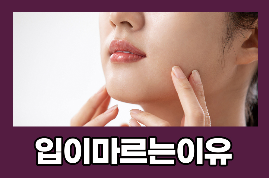 입이마르는이유 증상과 개선 및 예방법은 관련 이미지 1