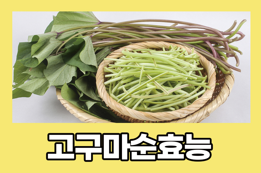 고구마순효능 고구마줄기 영양소가 풍부해요 관련 이미지 1