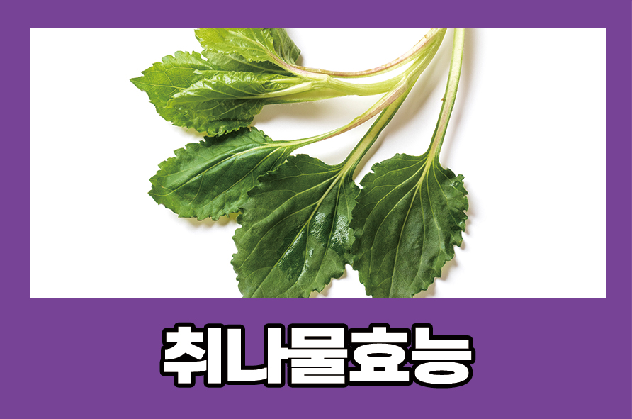 Nabina Effets and Side Effects, Let’s Also Look at How to Eat It image 1