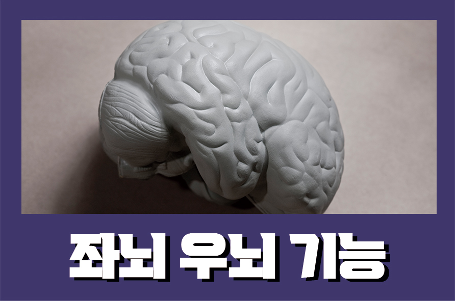 좌뇌우뇌기능 다르다는데 확실한 구별법 관련 이미지 1