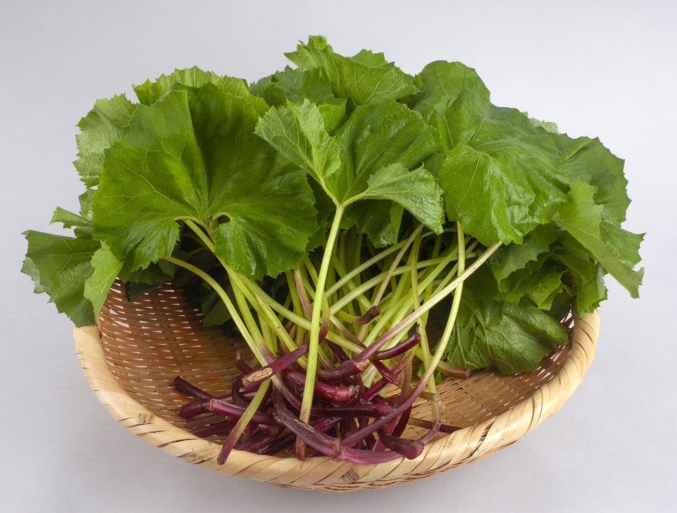 Butterbur Benefits, Side Effects, and Various Ways to Consume It image 6