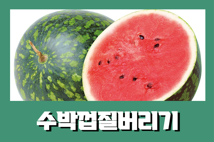 수박껍질버리기 일반쓰레기 및 음식물쓰레기 분류 관련 이미지 1