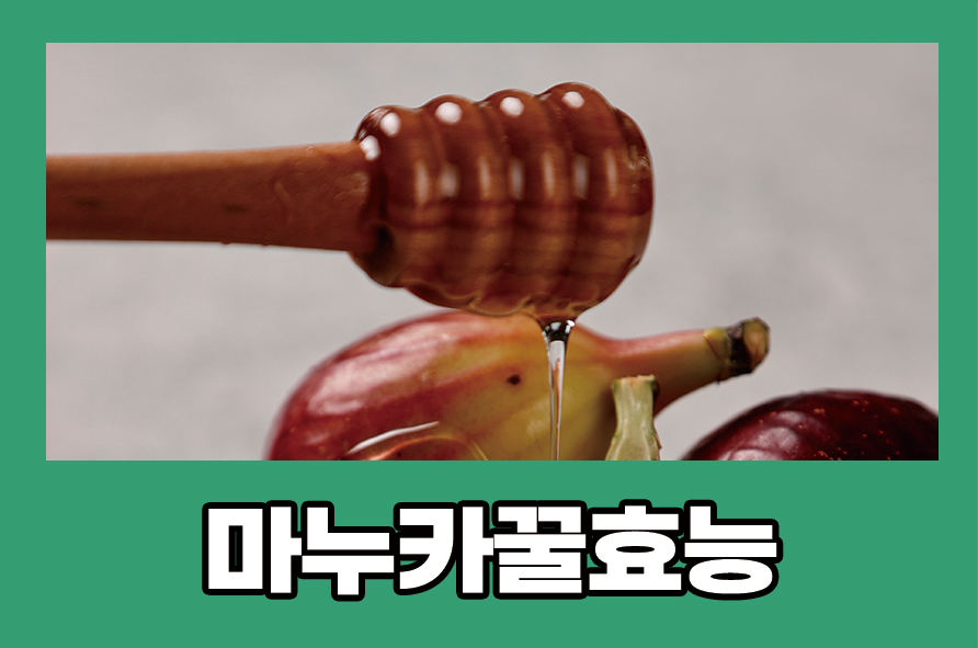 마누카꿀효능 뉴질랜드 수치, 부작용, 보관 방법은? 관련 이미지 1