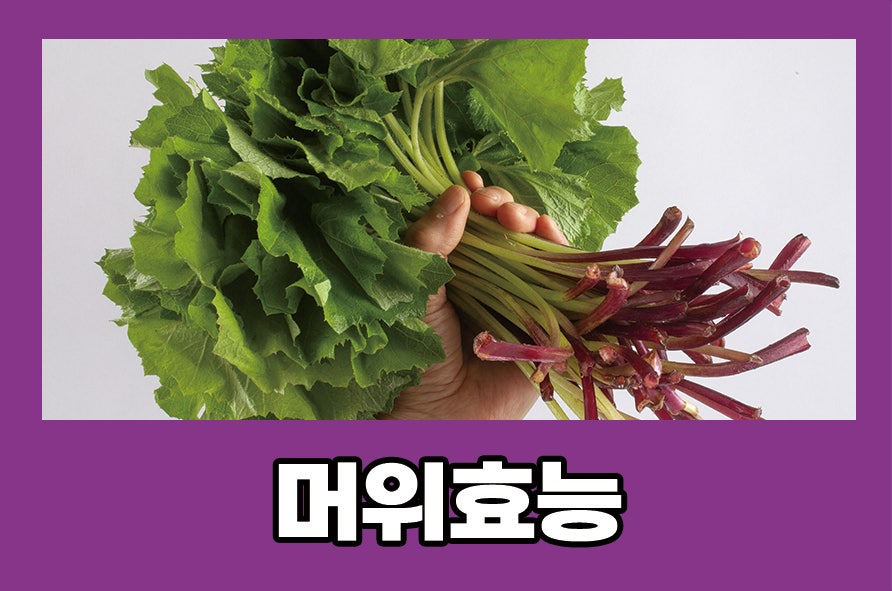 Butterbur Benefits, Side Effects, and Various Ways to Consume It image 1