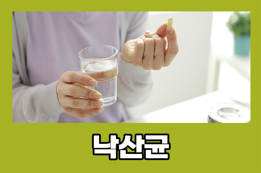 낙산균 효능 섭취 방법, 부작용을 알아봐요 관련 이미지 1