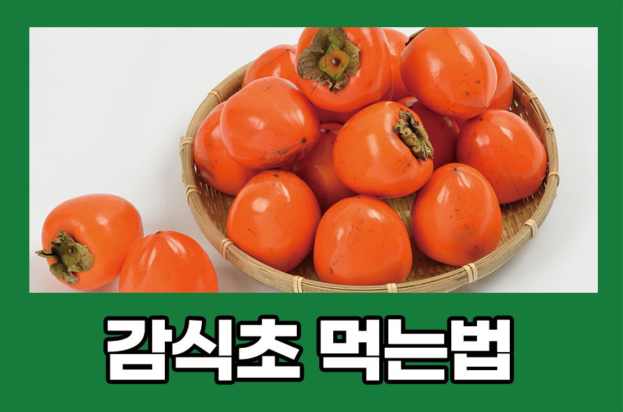 감식초 먹는법 효능과 부작용도 알아봐요 관련 이미지 1