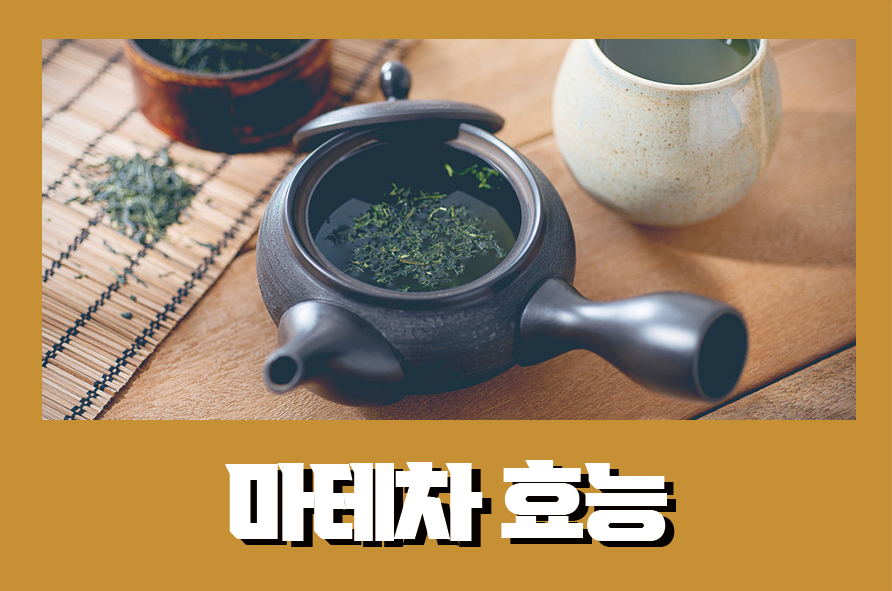 마테차효능 10가지 알아볼게요 관련 이미지 1