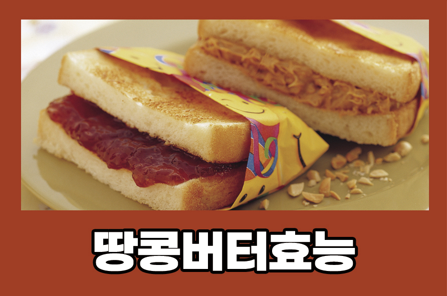 땅콩버터효능 무가당 장점과 부작용에 대해 관련 이미지 1