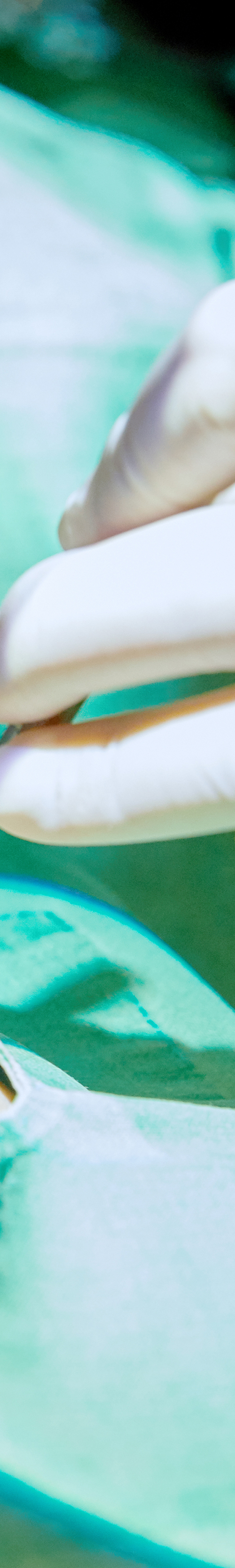 Dangsan Dental Clinic Implant Placement for Restoring Tooth Function image 33