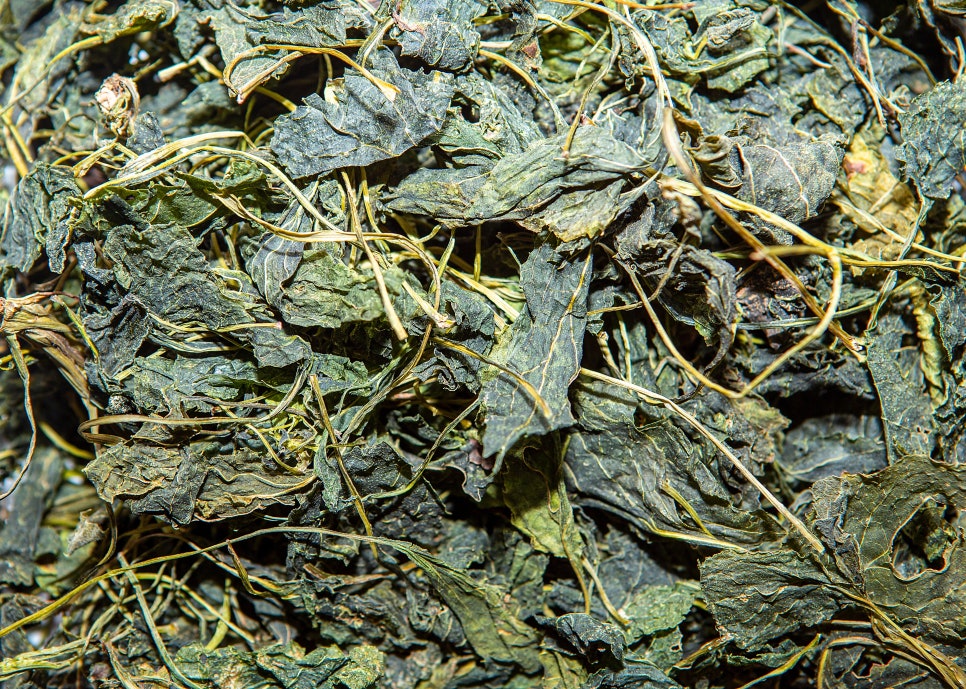 Nabina Effets and Side Effects, Let’s Also Look at How to Eat It image 5