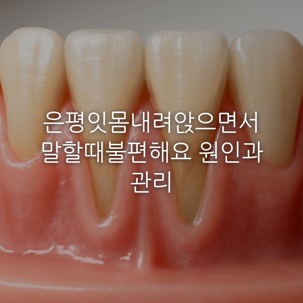 은평잇몸내려앉으면서말할때불편해요 원인과 관리 관련 이미지 1