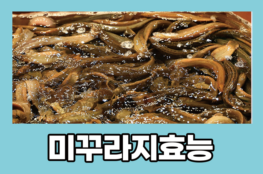 미꾸라지효능 보양식으로 훌륭해요 관련 이미지 1