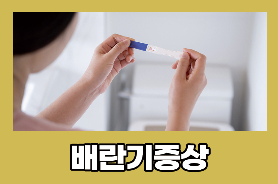 배란기증상 아랫배 통증과 출혈이 있다면 관련 이미지 1