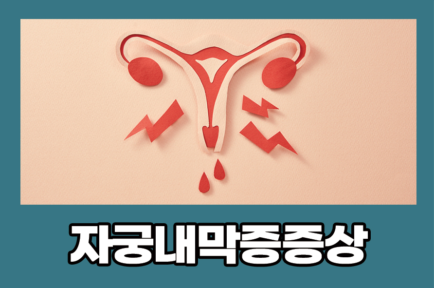 자궁내막증증상 원인과 치료 및 관리 방법에 대해 관련 이미지 1