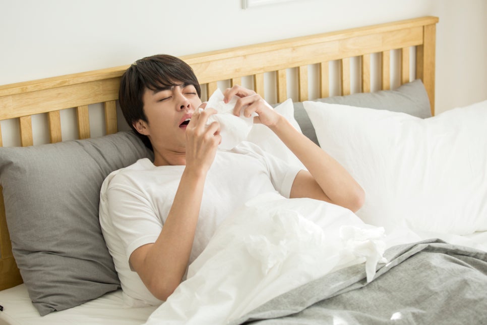 재채기멈추는법 원인 알고 빠르게 해결해봐요 관련 이미지 2