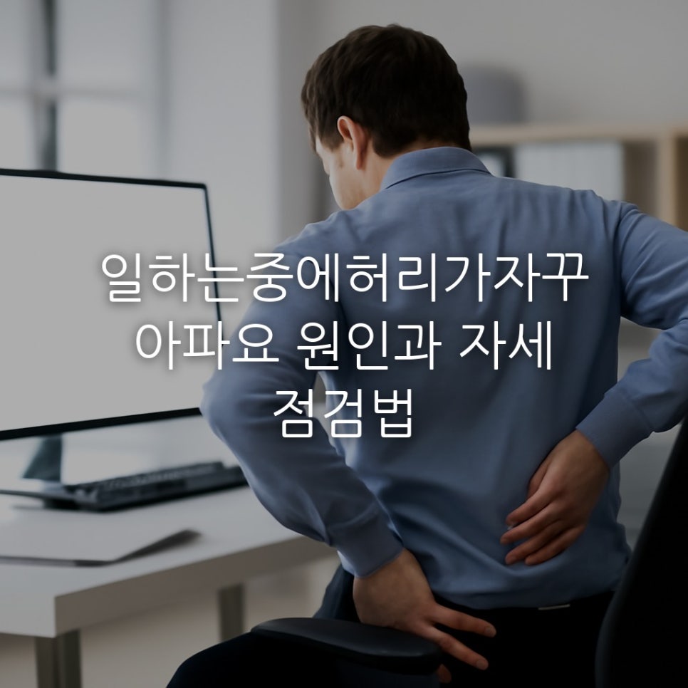일하는중에허리가자꾸아파요 원인과 자세 점검법 관련 이미지 1
