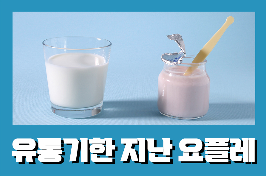 유통기한지난요플레 먹어도 될까? 유제품 소비기한 관련 이미지 1