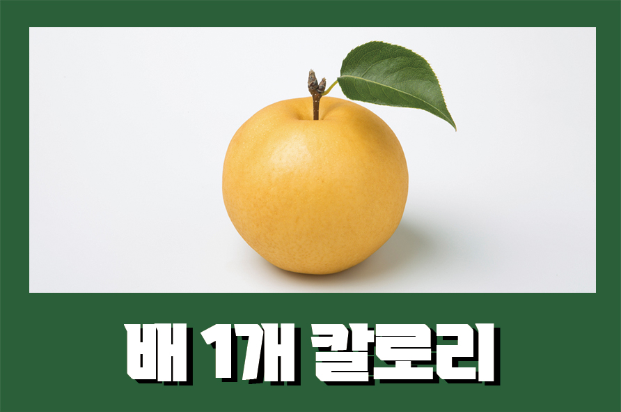 배1개칼로리 8가지 효능과 섭취 시 주의할 점은 관련 이미지 1