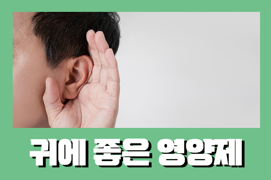 귀에좋은영양제 식품도 함께 알려드릴게요 관련 이미지 1