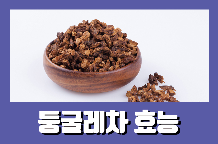 둥굴레차효능 9가지와 부작용 확인하자 관련 이미지 1