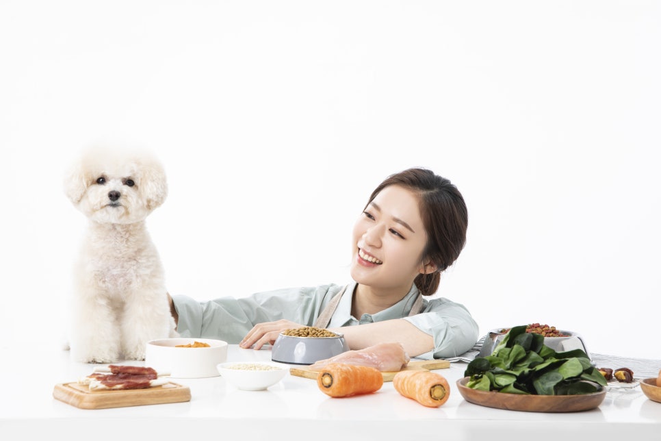 생선가시음식물쓰레기 생선뼈 일반 쓰레기에 버려야 할까? 관련 이미지 4