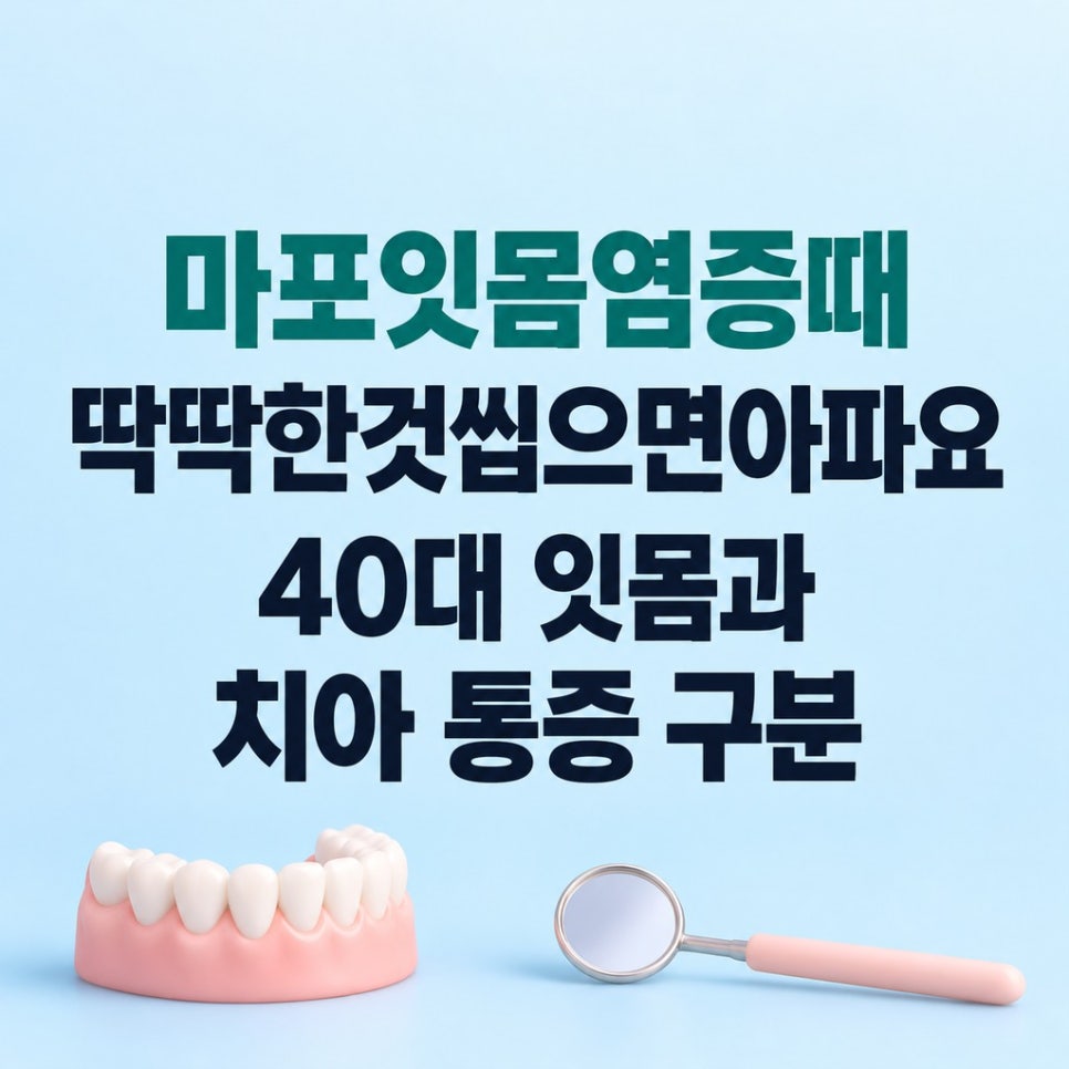 마포잇몸염증때딱딱한것씹으면아파요 40대 잇몸과 치아 통증 구분 관련 이미지 1
