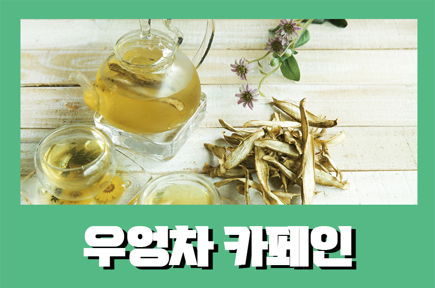 우엉차카페인 효능과 부작용까지 알아보자 관련 이미지 1