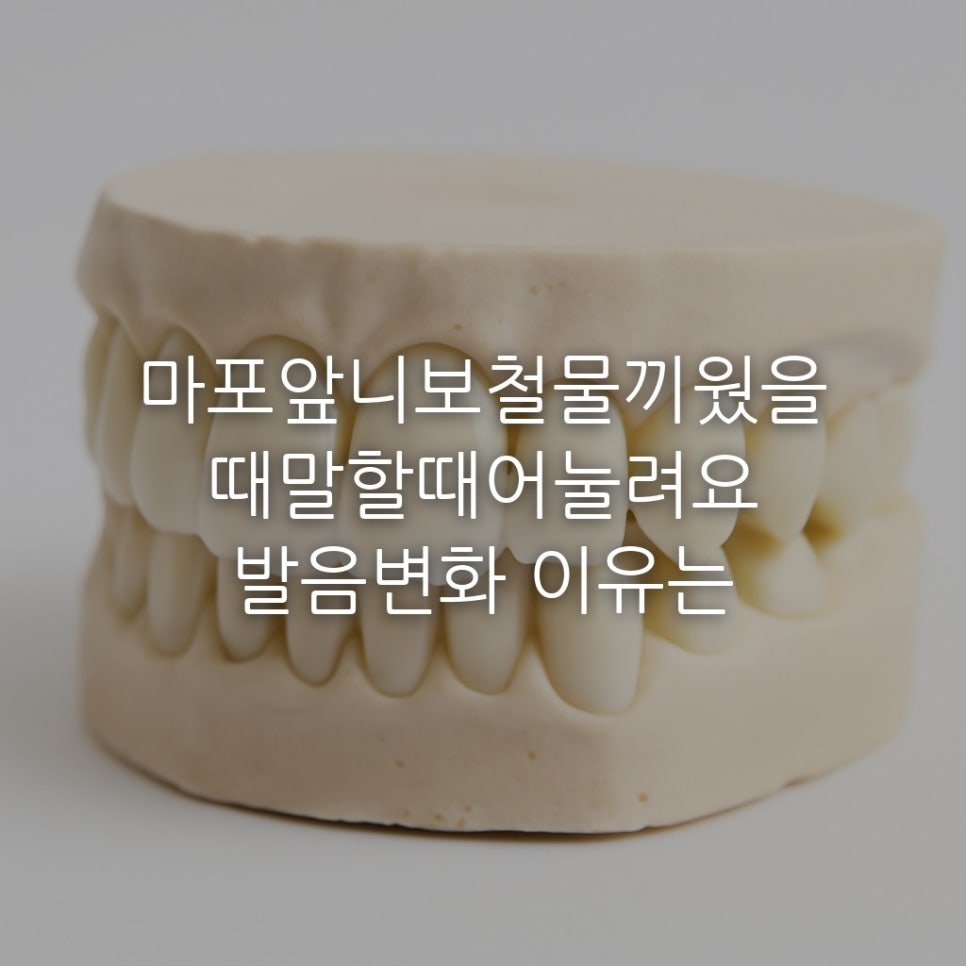 마포앞니보철물끼웠을때말할때어눌려요 발음변화 이유는 관련 이미지 1