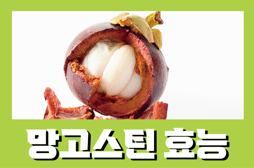 망고스틴효능 영국 왕실에서 사랑한 열대 과일 관련 이미지 1