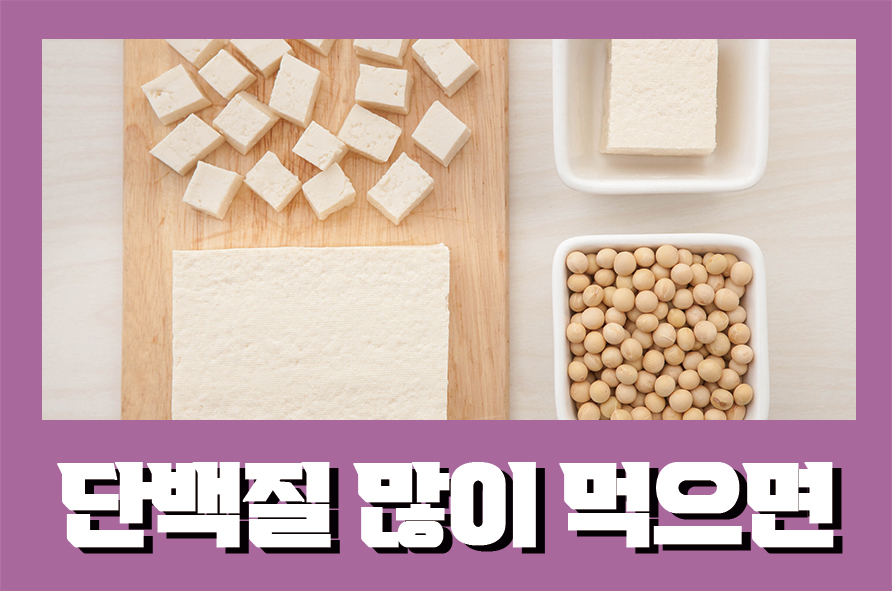 단백질많이먹으면 좋은거 아니었나요? 나타날 수 있는 문제점은 관련 이미지 1
