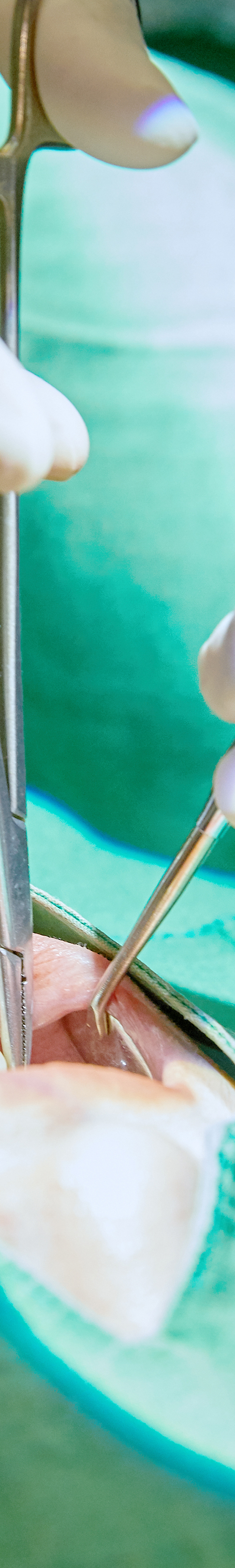 Dangsan Dental Clinic Implant Placement for Restoring Tooth Function image 32