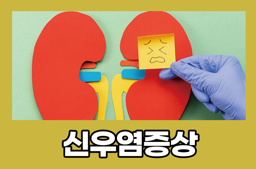 신우염증상 배뇨 시 통증이 느껴진다면 관련 이미지 1