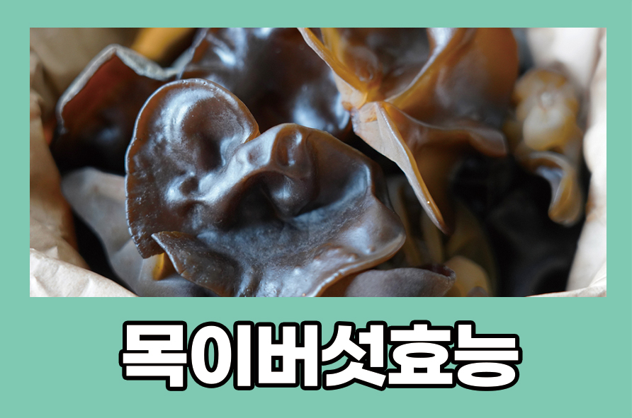 5 Benefits of Wood Ear Mushrooms: They’re Rich in Dietary Fiber image 1