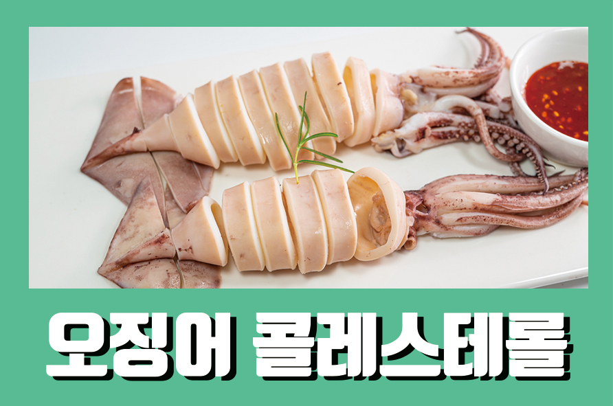 오징어콜레스테롤 높은 편이라고? 관련 이미지 1