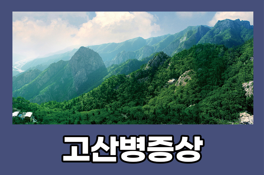 What Causes Altitude Sickness, How to Respond to It, and How to Prevent It image 1