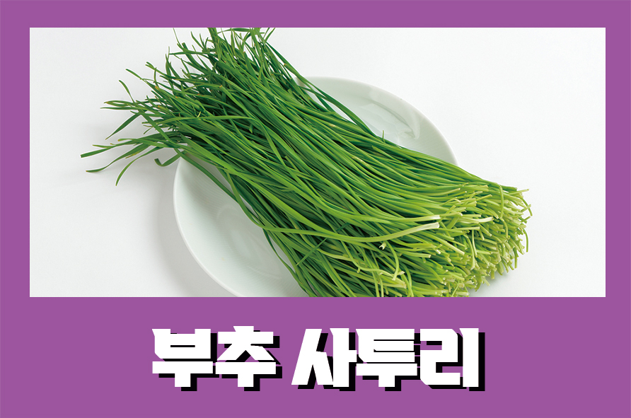 부추사투리 효능과 보관법, 올바르게 선별하는 법은 관련 이미지 1
