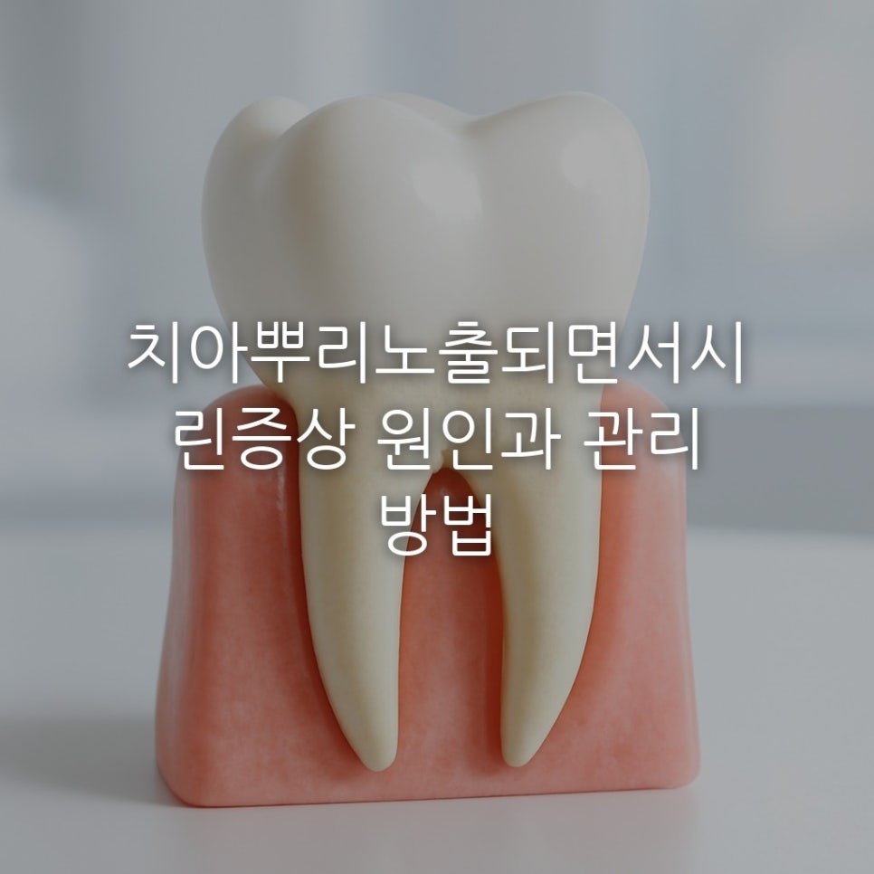 치아뿌리노출되면서시린증상 원인과 관리 방법 관련 이미지 1