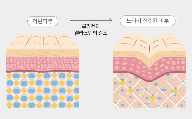 그리니피부과 그리니데이 이벤트 🌟새해에는 건강한 피부로🌱 관련 이미지 1