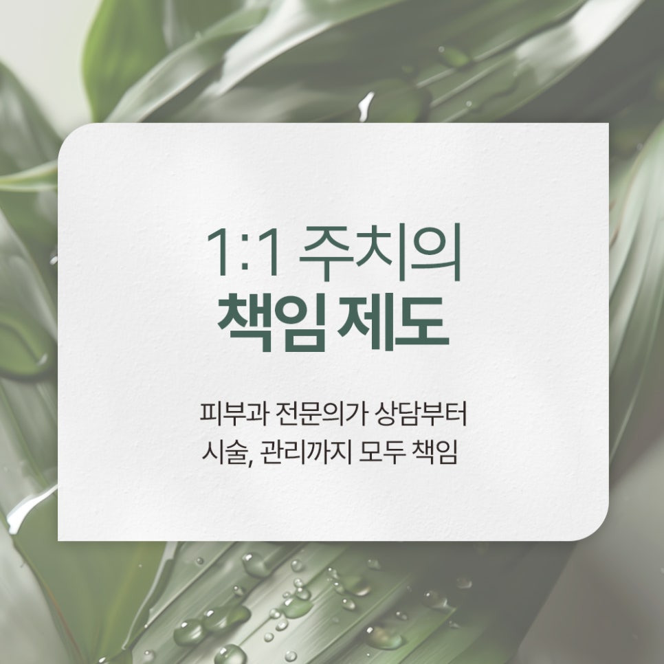 [공지] 💛 관련 이미지 4