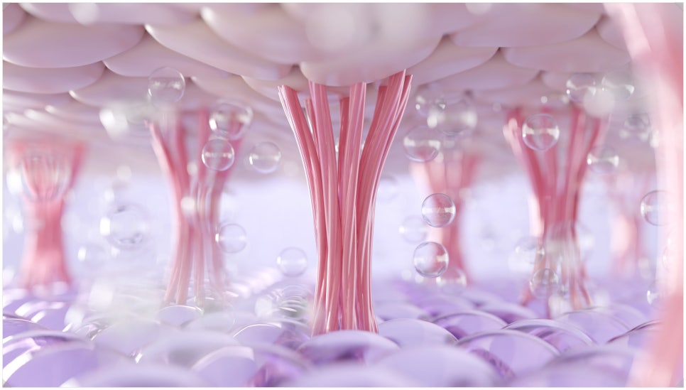 If You’re Looking for a Place That Does Thermage Well in Bangbae-dong image 4