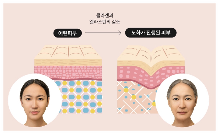 Greeny Dermatology Young Day Event 📢Signature Elasticity Care to Celebrate the Introduction of Thermage FLX✨ image 1