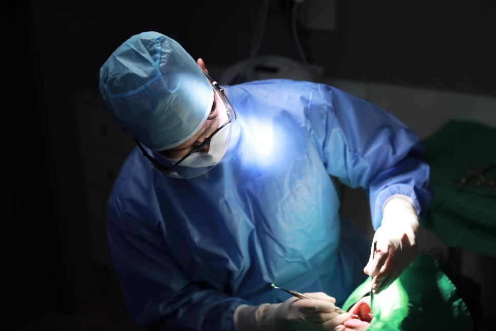 잠원역치과 신성치과 사랑니 발치 전 꼭 알아야 하는 3가지 관련 이미지 10