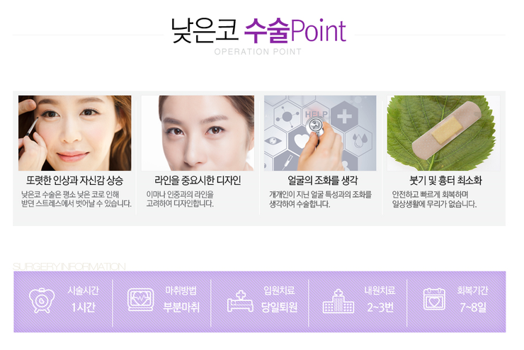 [화곡동성형외과 로드성형외과에서 알려드리는 낮은코성형 정보 ♬] 관련 이미지 4