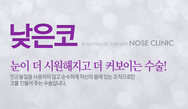 [화곡동성형외과 로드성형외과에서 알려드리는 낮은코성형 정보 ♬] 관련 이미지 1
